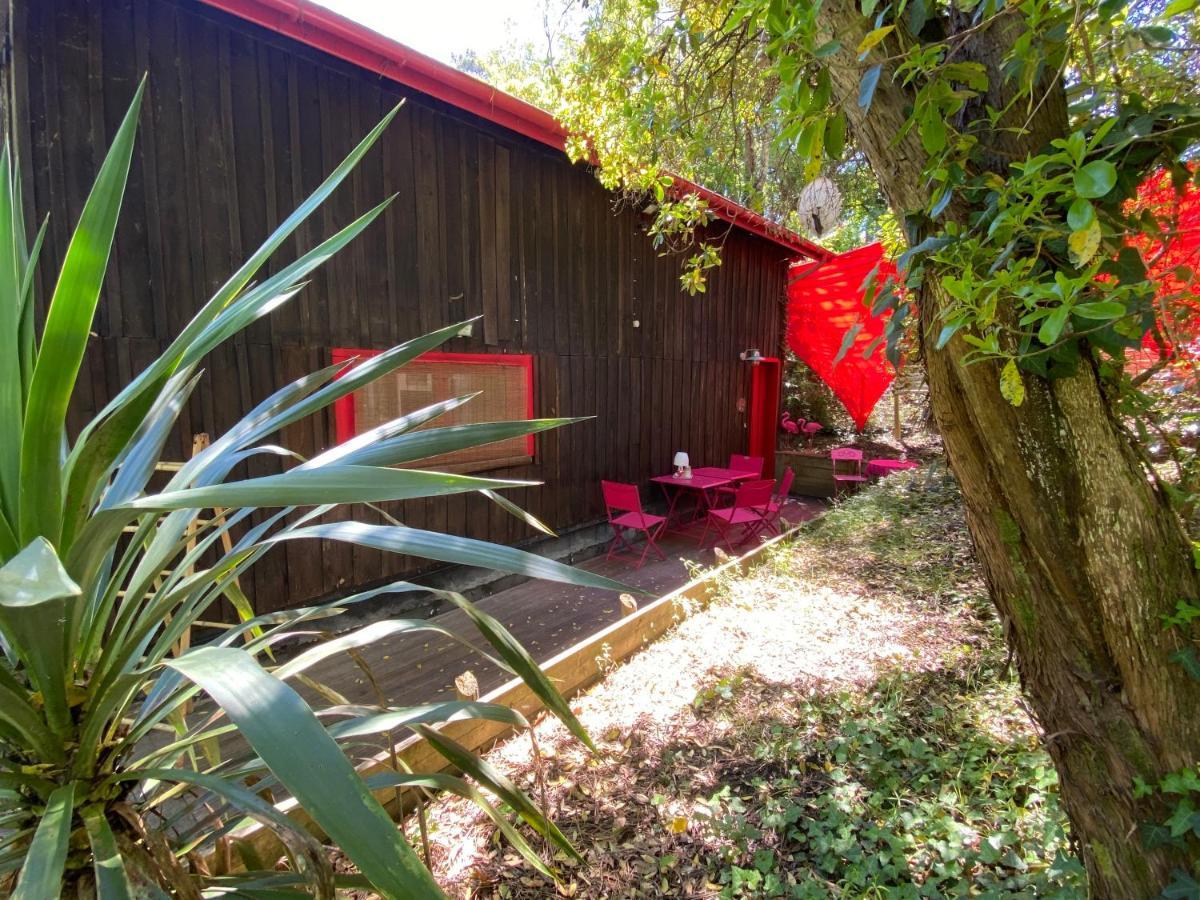 라카노오세앙 Le Loft Au-Dessus Des Pins 아파트 외부 사진