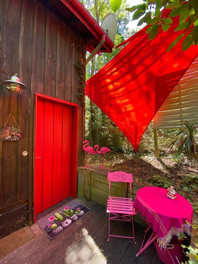 라카노오세앙 Le Loft Au-Dessus Des Pins 아파트 외부 사진