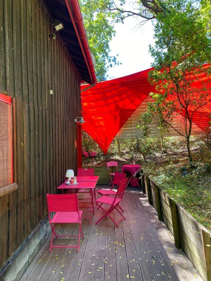 라카노오세앙 Le Loft Au-Dessus Des Pins 아파트 외부 사진
